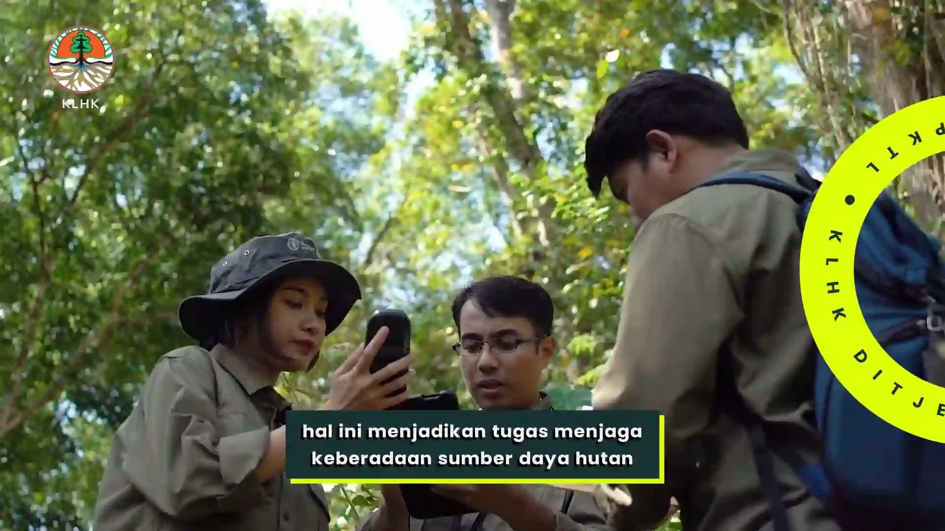 Luas hutan Indonesia